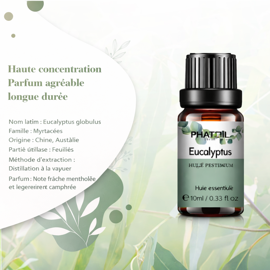 Huile essentielle eucaluptus pure 10ml premium – L'Essence Secrète | Passion Intime