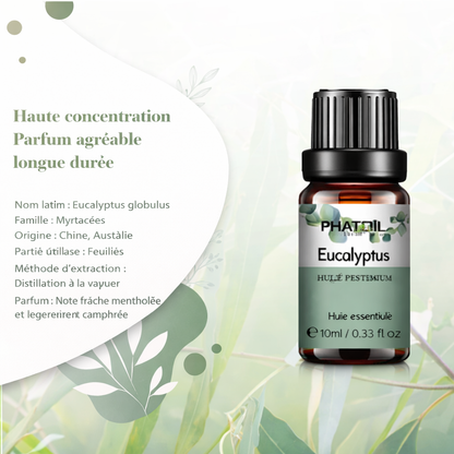 Huile essentielle eucaluptus pure 10ml premium – L'Essence Secrète | Passion Intime