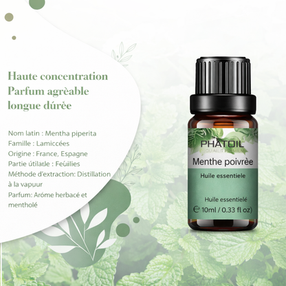 Huile essentielle Menthe poivrée pure 10ml premium – L'Essence Secrète 